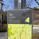 올레길 산림형 2코스 | 구로 올레길 트레일러닝 :: 서울 벚꽃 러닝명소 / 서울 둘레길 트레킹코스