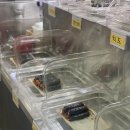 봉봉꼬마김밥 이미지