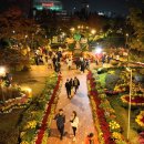 유성 국화축제 이미지