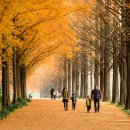 행복한휴식 이미지