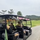 그린에버 이미지