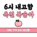 영덕농장 | 6시내고향 옥천 복숭아 택배 주문 충북 복숭아 농장 대옥계 천중도 백도 원황도 황도 송성호 복숭아왕...