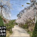 숲속 나들이 펜션 이미지