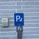 힐스톤애견풀빌라 이미지