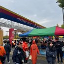 강남-206 | 태양의서커스 쿠자 B석 시야 DOOR8 206구역 P열 7,8,9번 초등 아이와 관람후기