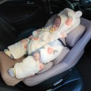 에코하우스 | 베이비하우스 영통점 카시트 구매 후기 (맥시코시 미카 프로 에코)