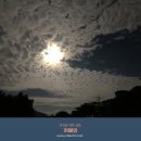 [커피 in 가요] 키 보이스 &lt;정든 배&gt;, 한 시대를 풍미한 청년 록 밴드
