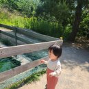 광고랜드 | 울산 포니랜드, 양산 트레이더스 후기 (광고x)