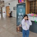 대전 마술공연 더매직서커스 후기 서커스부부 조이컬쳐 예매 할인 팁