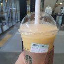 불량여우 티스토리