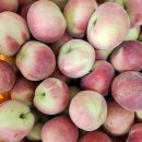 우리경봉환경 이미지