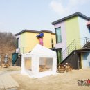 화인애견 이미지