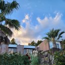 밀크인제주 | 제주도 가족 독채 펜션 오션뷰 스파 프라이빗 감성 숙소 추천 밀크인제주