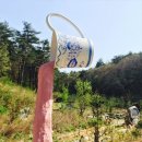 장길환미술관 이미지