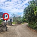 표선면-14 이미지