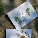 초록샘어린이집 이미지