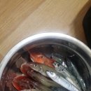 중리낚시