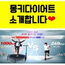 몽키 휘트니스 이미지