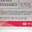 여행사 하나로드 이미지