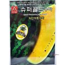 A11 이미지