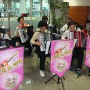 아코디언1 이미지