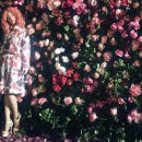 펑키파이브 이미지