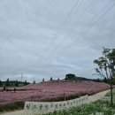 엠티브이20로 이미지