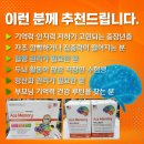 고려식물약국