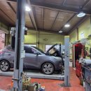 유카센타 이미지