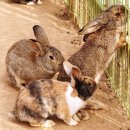 순호농장 이미지