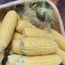 소향농장 이미지