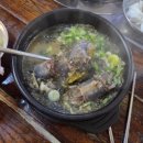 막걸리일번지 | 진짜 충주맛집 시래기 가득 일번지순대국
