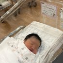 프라임3 | [공지] [제왕절개 후기] 다산 삼성프라임 3일차~4일차, 5일차 퇴원 후기까지