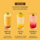 [내돈내산] 샤브올데이 망고올데이 평일 런치 후기