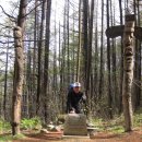 안생달교 이미지