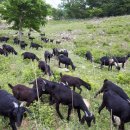 박희정농장 이미지