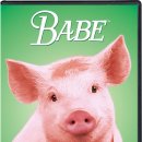 베이브 이미지