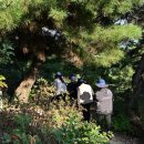 조상태양광발전소 이미지