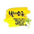 빛과 소금 이미지