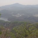 비학산4코스정상 이미지