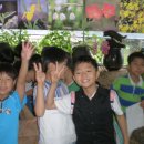 강촌키즈태권도 이미지