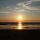 이상심리학 이미지