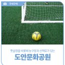 도안문화공원풋살장 이미지
