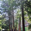 베트남참전기념탑 | 하남검단산 등산코스 후기