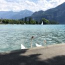 가야공원골프클럽 이미지