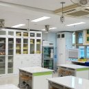 신림초등학교 이미지