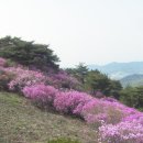 85회차 4월28일(일) 진달래축제 고려산(강화) 이미지