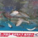 대창수산 네이버블로그
