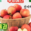주영농원 이미지