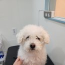 보리미용실 이미지